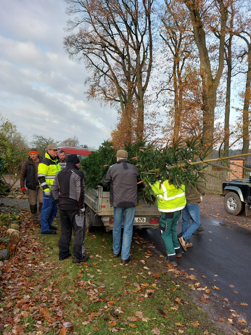 weihnachtsbaum 2024 c