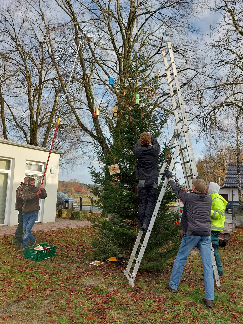 weihnachtsbaum 2024 h